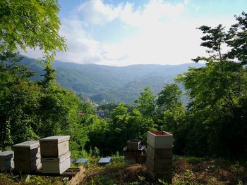  beekeeping nature reserve in turkey in the city of trabzon