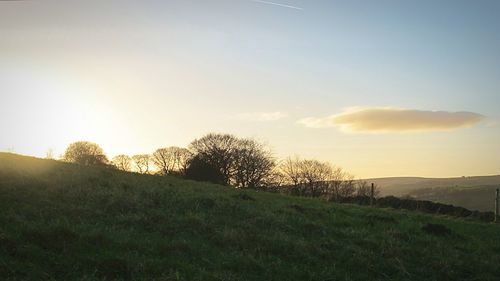 Scenic view of grass against sky during sunset