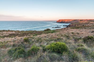 Scenic view of sea against clear sky during sunset