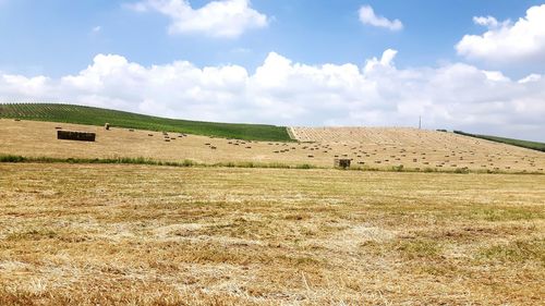 Hay bales on field against sky