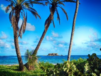 Scenic view of sea against blue sky