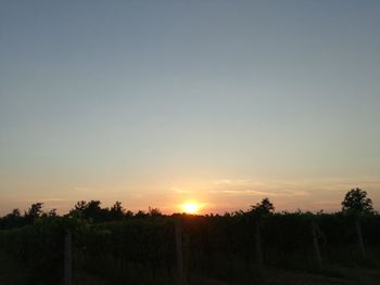 Scenic view of silhouette field against clear sky during sunset