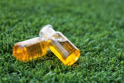 Close-up of fire hydrant on grass