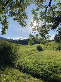 Scenic view of field against sky