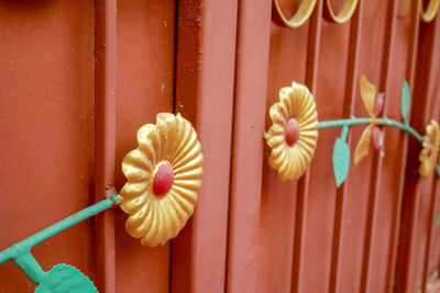Close-up of flowering plant against wooden door