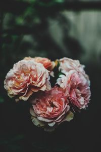 Close-up of rose bouquet