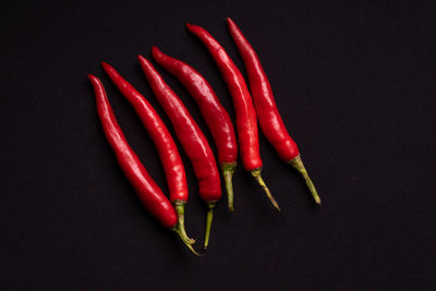 Close-up of red chili pepper against black background