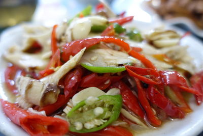 Close-up of salad in plate