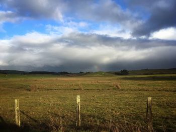 Scenic view of agricultural field against sky