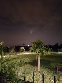 Scenic view of field against sky at night