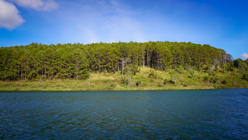 nature