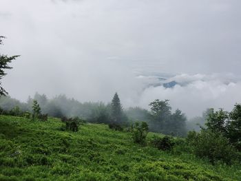 Scenic view of landscape against sky