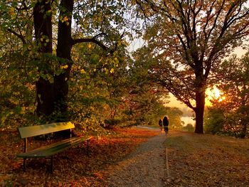 Rear view of man walking on footpath in park