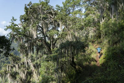 One man running up on a trail in zacatlan