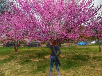 Pink flowers growing in park