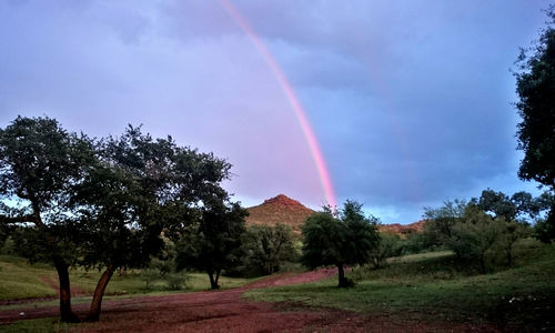 Scenic view of rainbow against sky