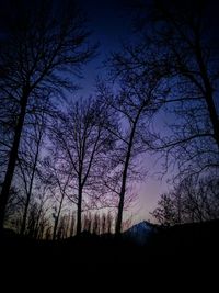 Bare trees against sky at sunset