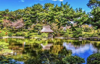 Scenic view of lake by trees against sky