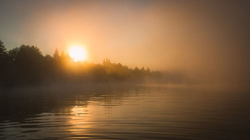 Scenic view of silhouette trees against sky during sunset