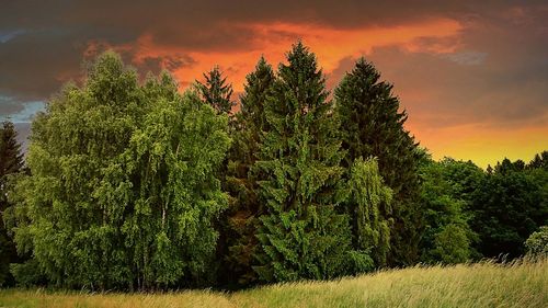 Scenic view of landscape against cloudy sky