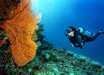 Woman swimming undersea