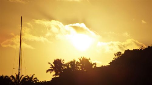 Low angle view of silhouette trees against sky during sunset