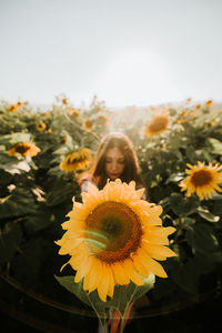 Woman by yellow flowering plants against sky