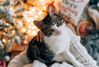 Personal perspective image of woman standing by christmas tree, holding cat in her arms.