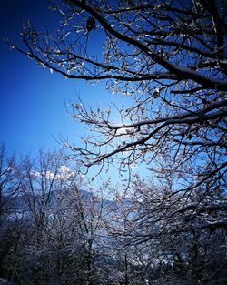 Low angle view of silhouette tree against sky