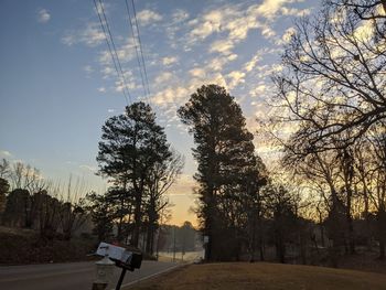 Trees by road against sky during sunset