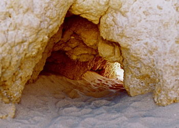 Close-up of bread