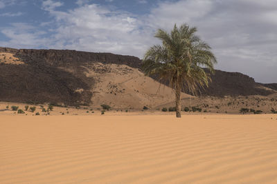 Scenic view of desert against sky