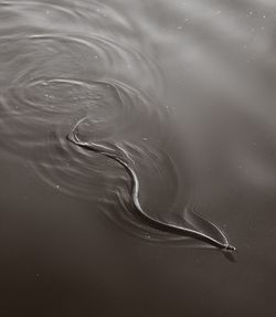 High angle view of rippled water on beach