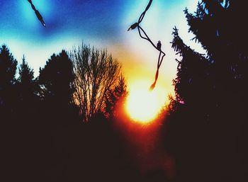 Close-up of silhouette trees against sky during sunset