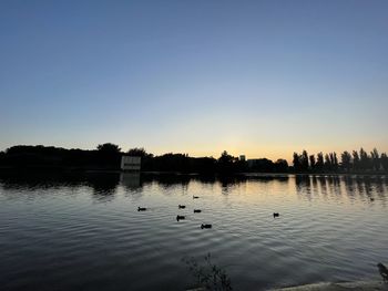 Birds swimming in lake against sky