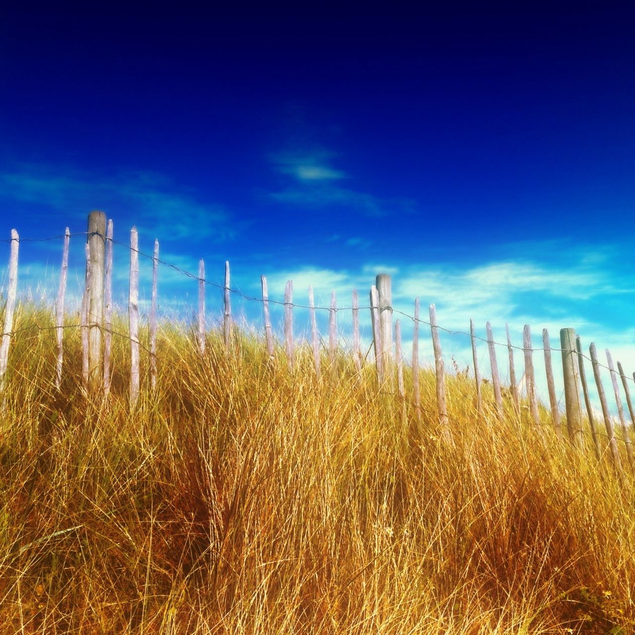 Beach Anglesey fence