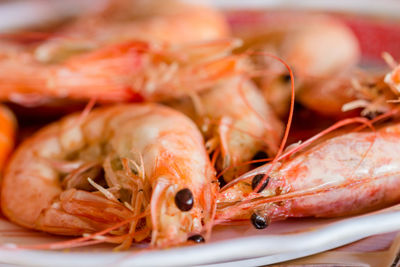 Close-up of seafood in plate