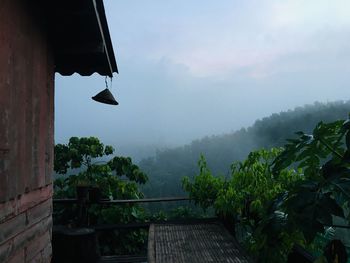 Trees and houses against sky during rainy season