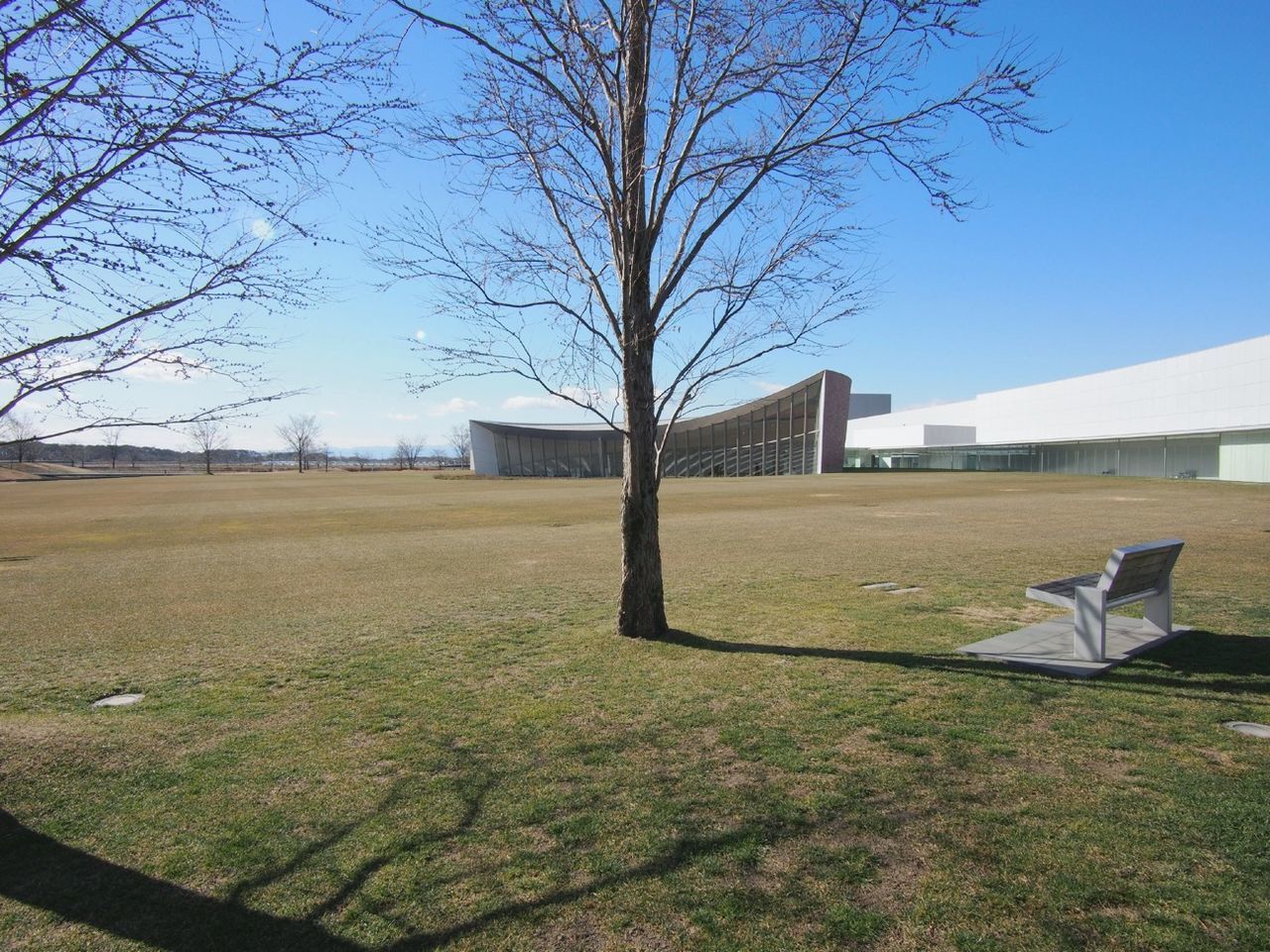 built structure, clear sky, architecture, building exterior, tree, bare tree, grass, blue, field, house, sunlight, shadow, landscape, day, sky, no people, copy space, branch, residential structure, outdoors