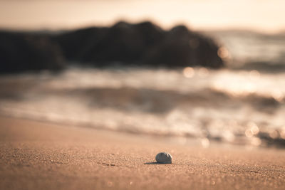 Close-up of pebbles on beach against sky during sunset
