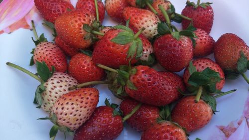 High angle view of strawberries in plate