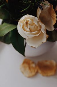 Close-up of roses