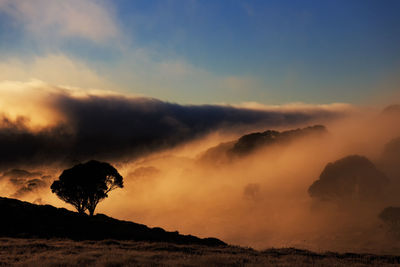 Scenic view of landscape in foggy weather during sunset