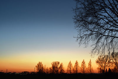 Silhouette trees on field against clear sky at sunset