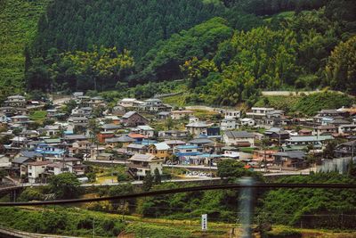 High angle view of residential district by trees