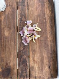 High angle view of pink flower on table