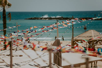 Close-up of buntings against sea