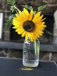 Close-up of yellow flower vase on table