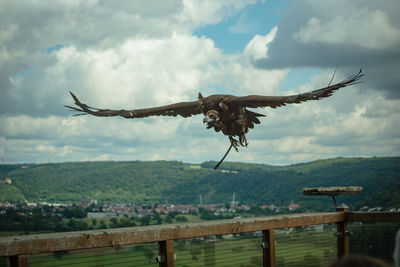 View of bird flying over sea against sky