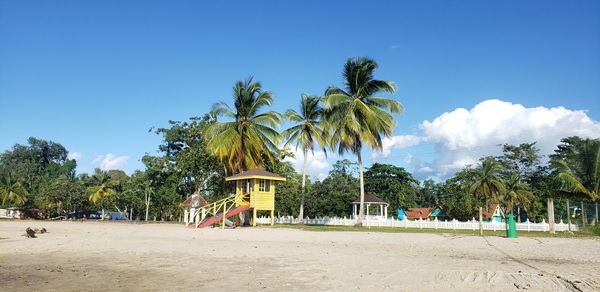 Palm trees on beach against blue sky